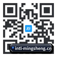 系统版 iOS 二维码